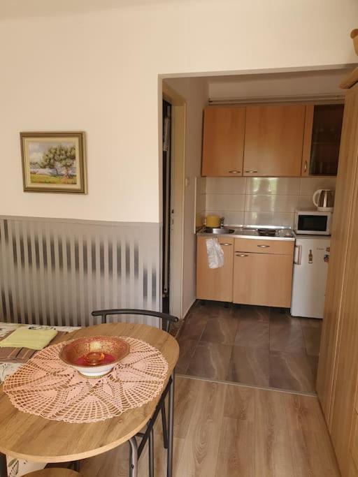 Appartement Zelena Oaza à Skrljevo Extérieur photo