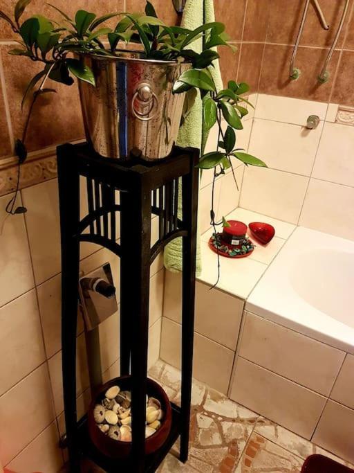 Appartement Zelena Oaza à Skrljevo Extérieur photo
